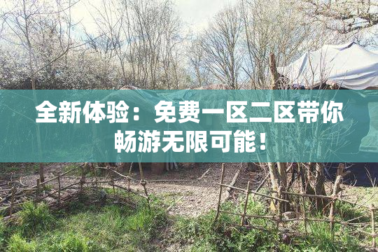 全新体验：免费一区二区带你畅游无限可能！