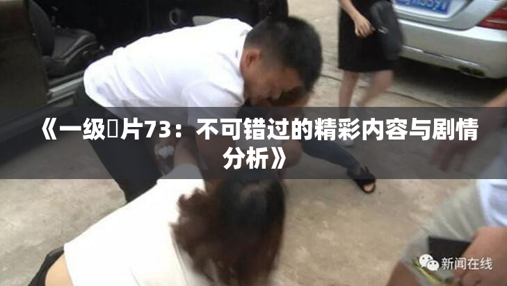 《一级婬片73：不可错过的精彩内容与剧情分析》