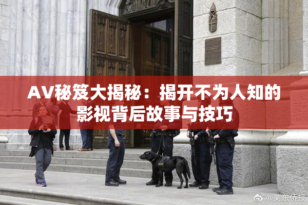 AV秘笈大揭秘：揭开不为人知的影视背后故事与技巧