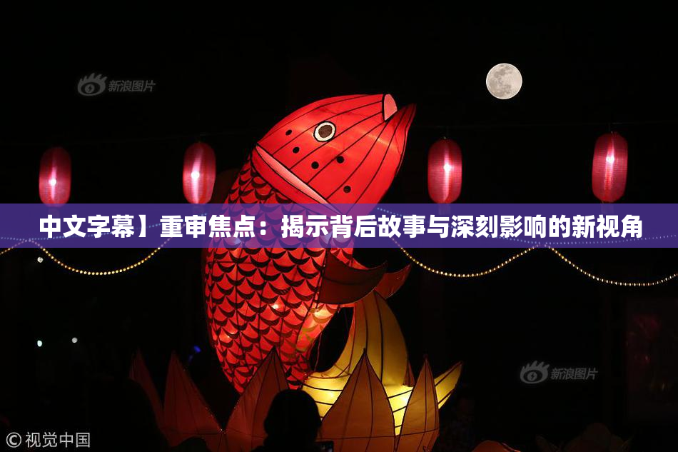 中文字幕】重审焦点：揭示背后故事与深刻影响的新视角