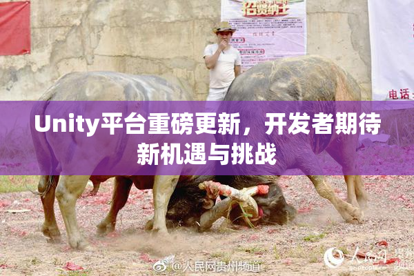 Unity平台重磅更新，开发者期待新机遇与挑战