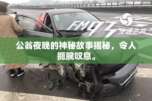 公翁夜晚的神秘故事揭秘，令人扼腕叹息。