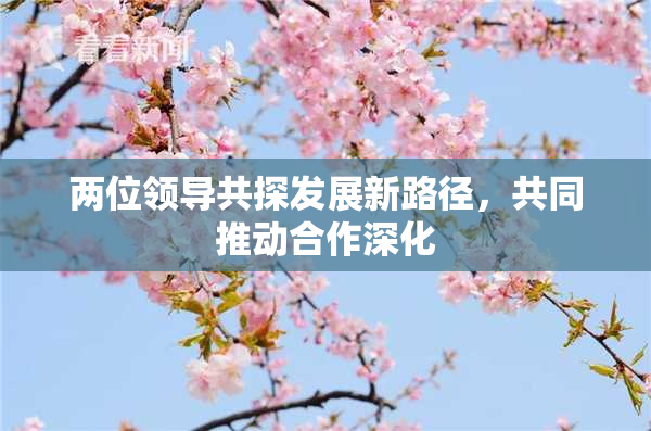 两位领导共探发展新路径，共同推动合作深化
