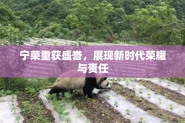 宁荣重获盛誉，展现新时代荣耀与责任