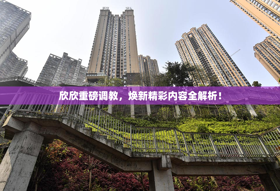 欣欣重磅调教，焕新精彩内容全解析！