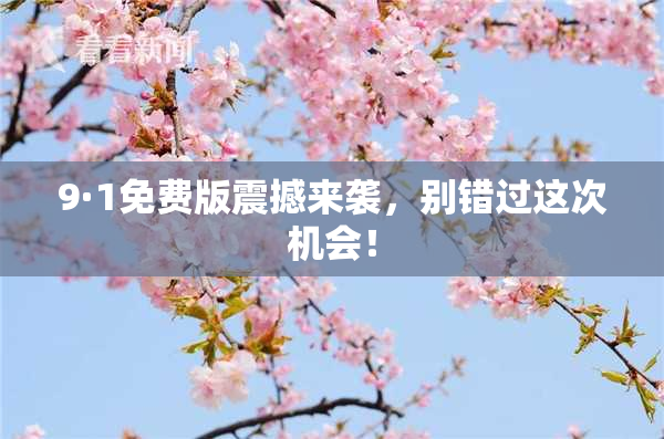 9·1免费版震撼来袭，别错过这次机会！