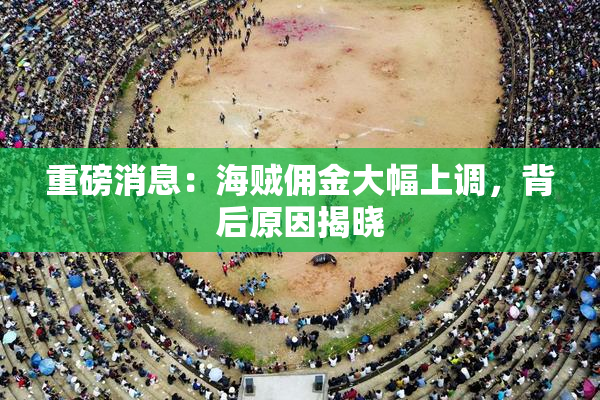 重磅消息：海贼佣金大幅上调，背后原因揭晓