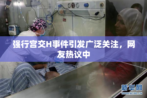 强行宫交H事件引发广泛关注，网友热议中