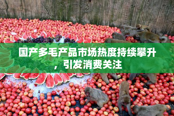 国产多毛产品市场热度持续攀升，引发消费关注
