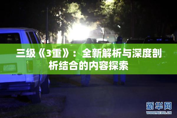 三级《3重》：全新解析与深度剖析结合的内容探索
