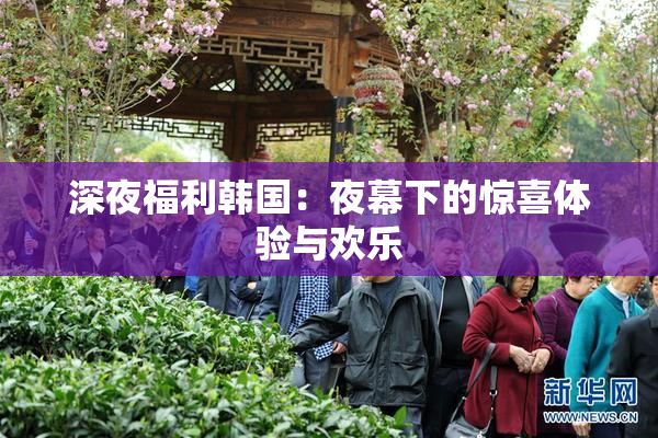 深夜福利韩国：夜幕下的惊喜体验与欢乐