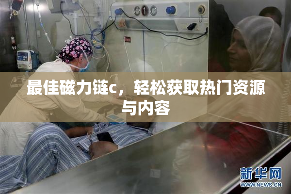 最佳磁力链c，轻松获取热门资源与内容