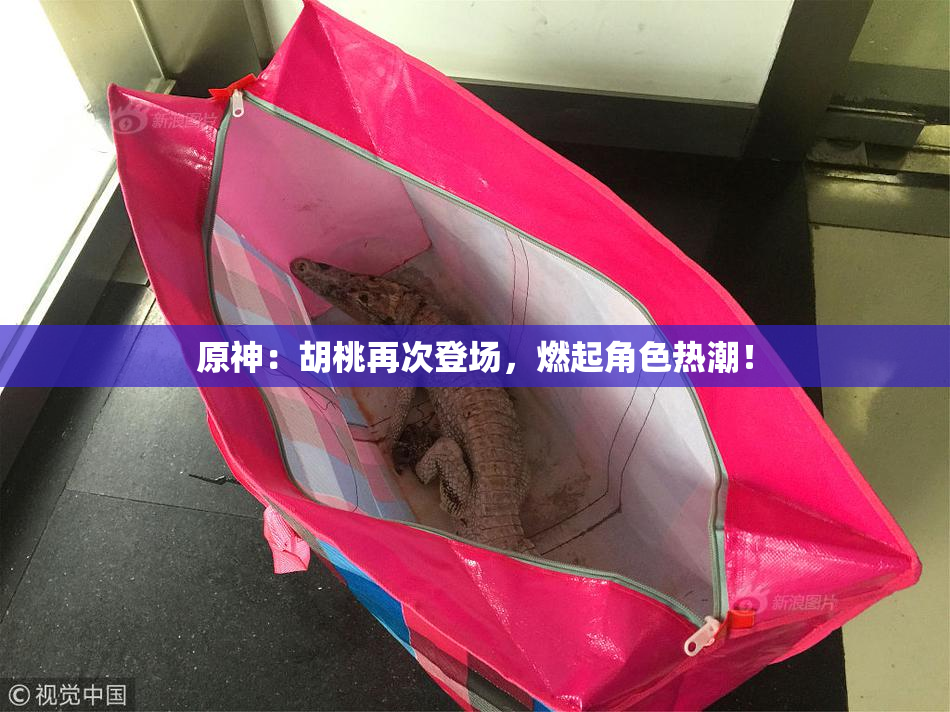 原神：胡桃再次登场，燃起角色热潮！