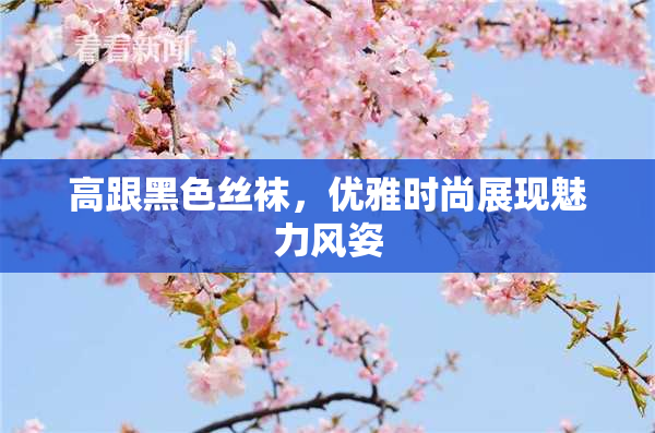 高跟黑色丝袜，优雅时尚展现魅力风姿