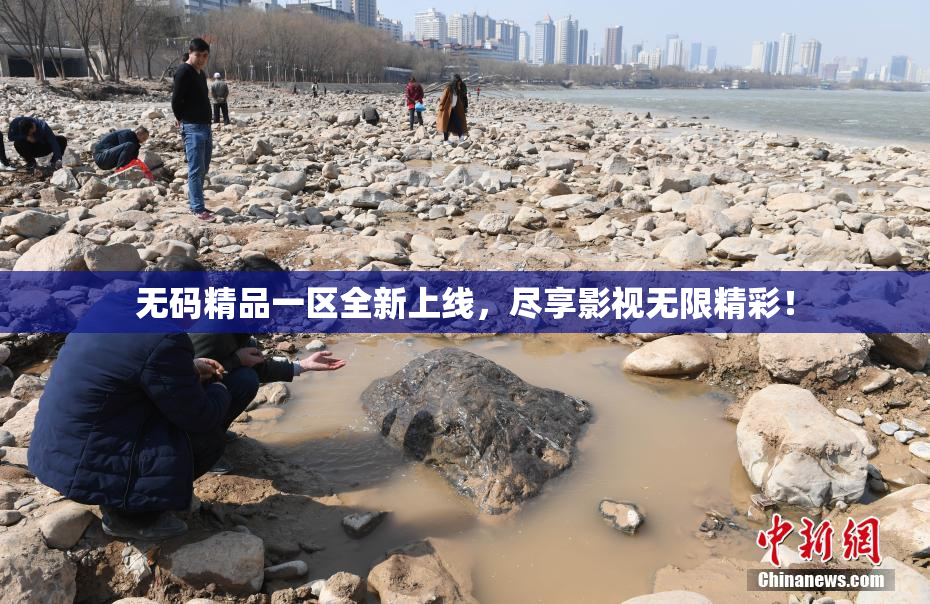 无码精品一区全新上线，尽享影视无限精彩！