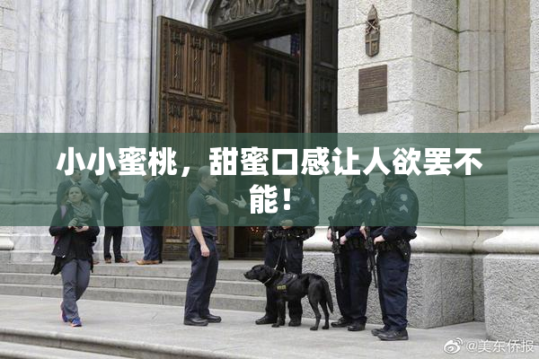 小小蜜桃，甜蜜口感让人欲罢不能！