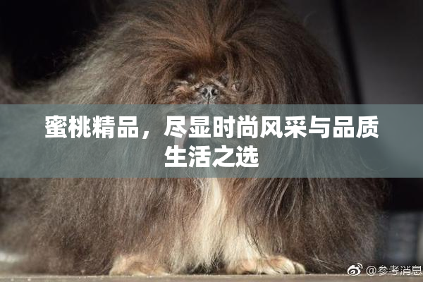 蜜桃精品，尽显时尚风采与品质生活之选