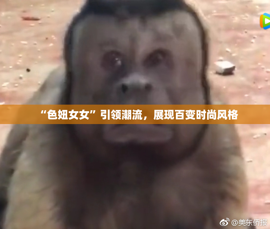 “色妞女女”引领潮流，展现百变时尚风格