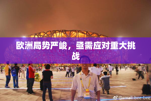 欧洲局势严峻，亟需应对重大挑战