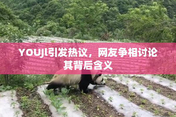 YOUJl引发热议，网友争相讨论其背后含义