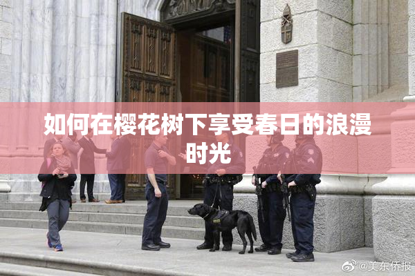 如何在樱花树下享受春日的浪漫时光