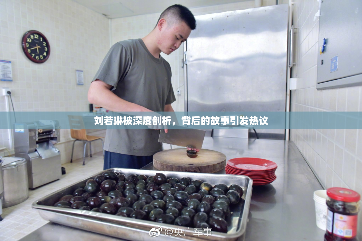 刘若琳被深度剖析，背后的故事引发热议