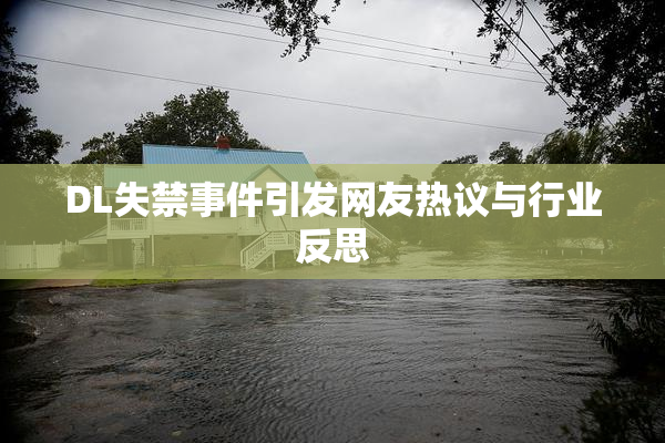 DL失禁事件引发网友热议与行业反思