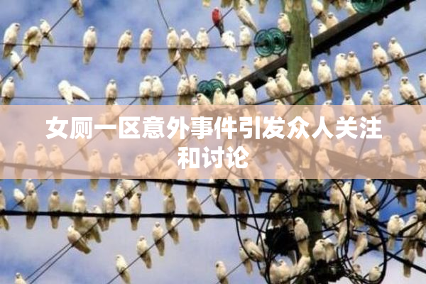 女厕一区意外事件引发众人关注和讨论