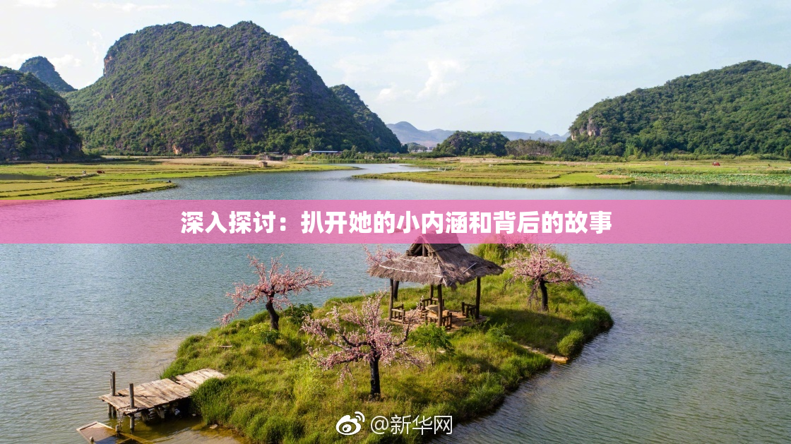 深入探讨：扒开她的小内涵和背后的故事