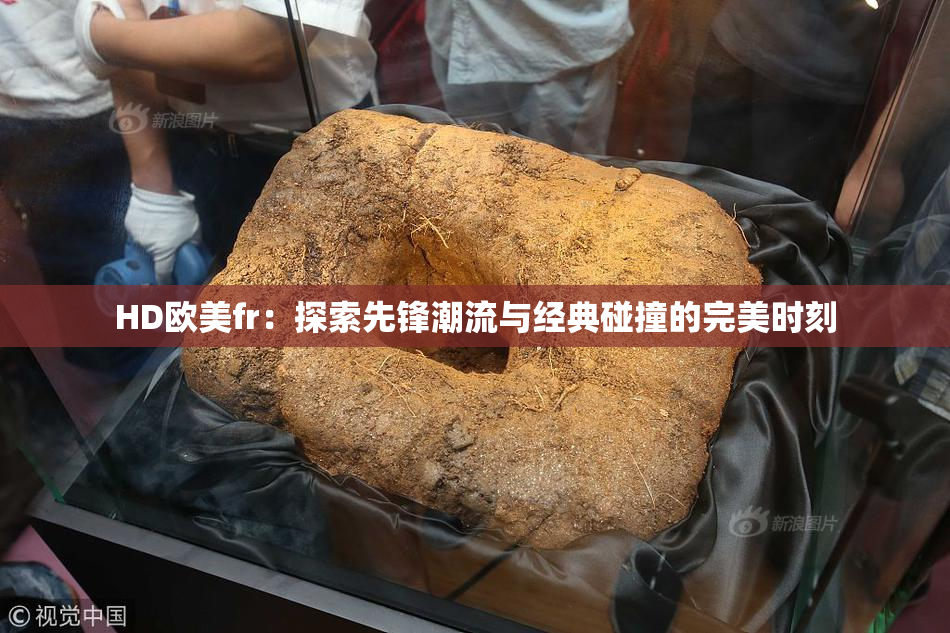 HD欧美fr：探索先锋潮流与经典碰撞的完美时刻