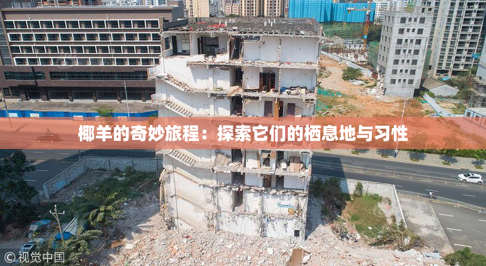 椰羊的奇妙旅程：探索它们的栖息地与习性