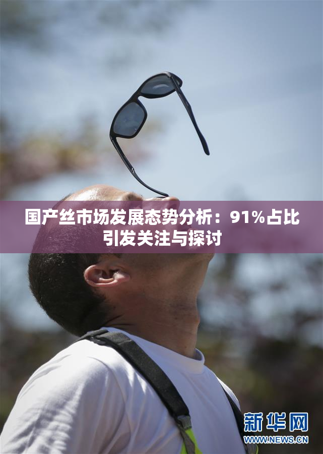 国产丝市场发展态势分析：91%占比引发关注与探讨