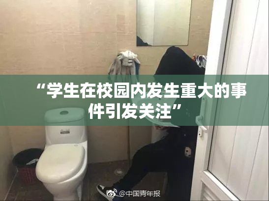 “学生在校园内发生重大的事件引发关注”