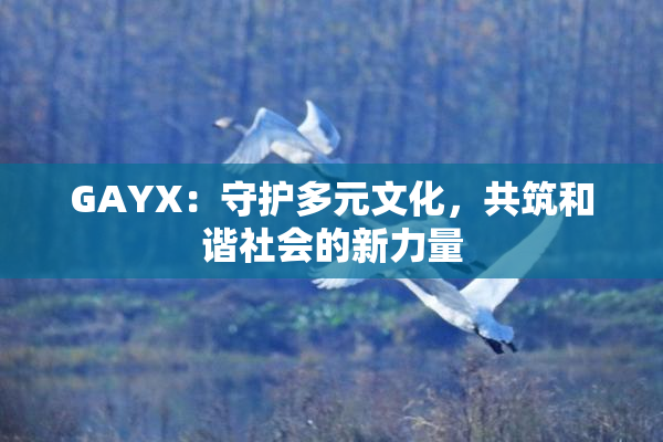 GAYX：守护多元文化，共筑和谐社会的新力量