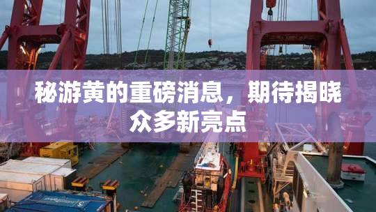 秘游黄的重磅消息，期待揭晓众多新亮点