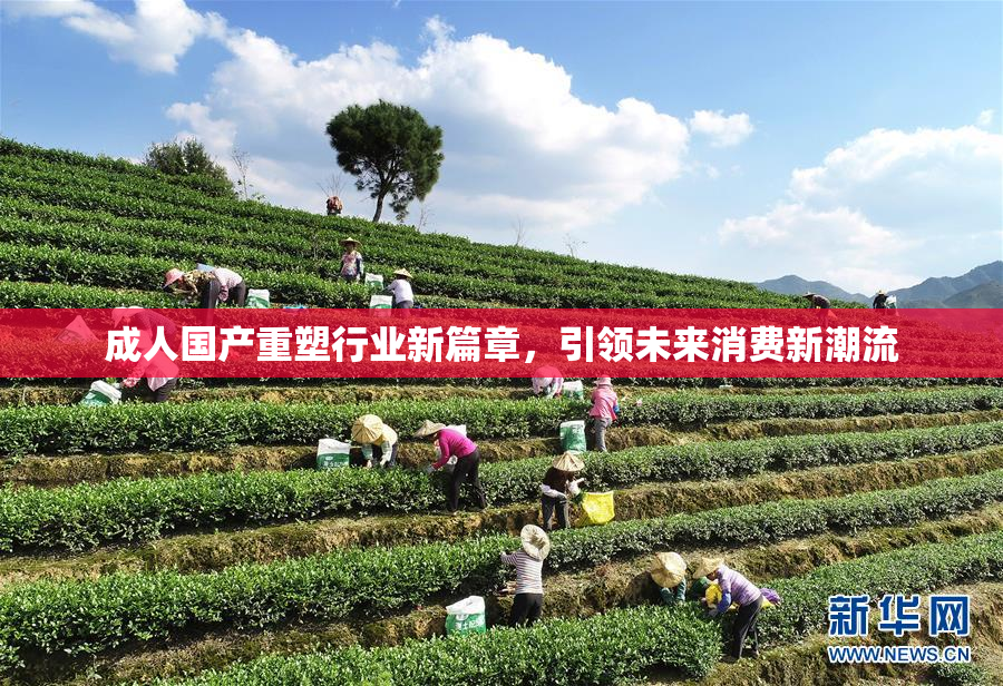 成人国产重塑行业新篇章，引领未来消费新潮流