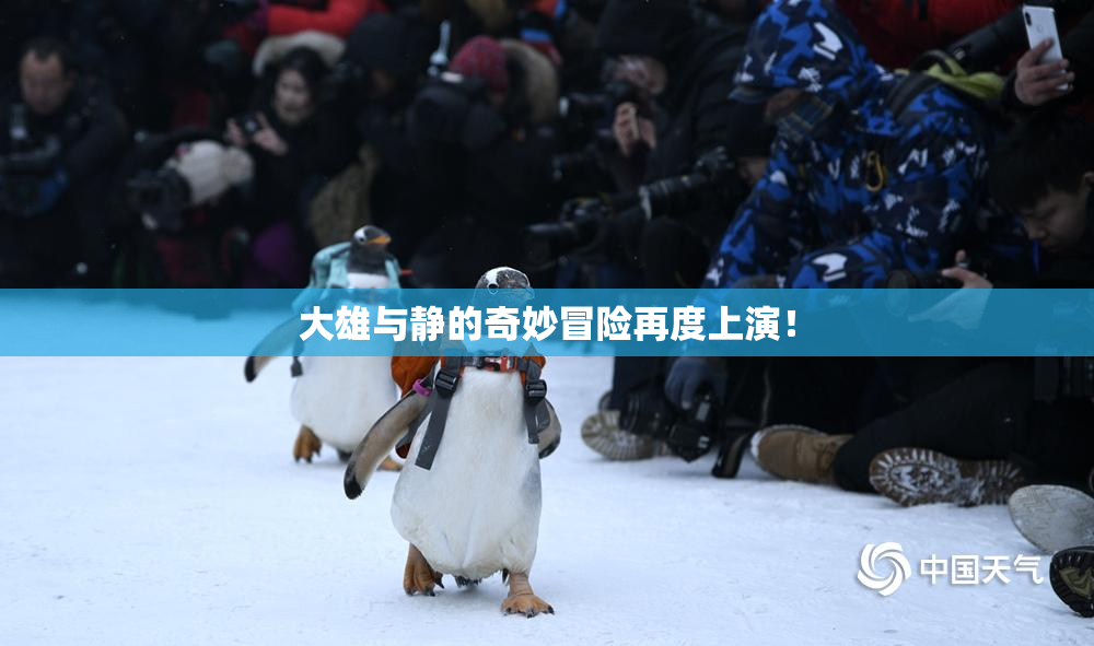 大雄与静的奇妙冒险再度上演！