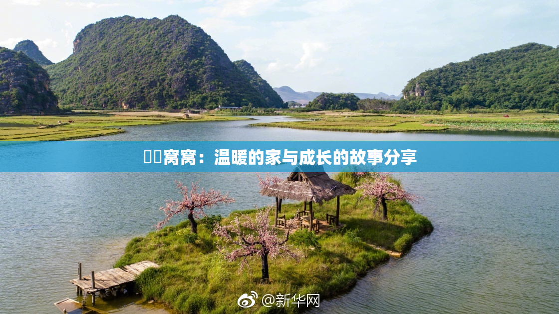 妺妺窝窝：温暖的家与成长的故事分享
