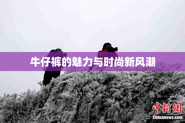 牛仔裤的魅力与时尚新风潮