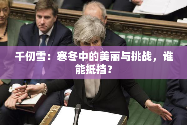 千仞雪：寒冬中的美丽与挑战，谁能抵挡？