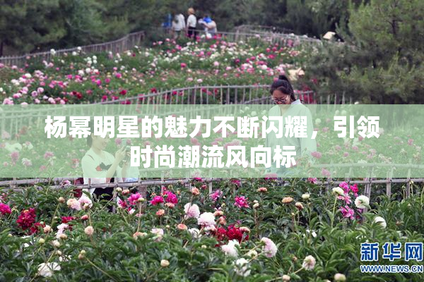 杨幂明星的魅力不断闪耀，引领时尚潮流风向标