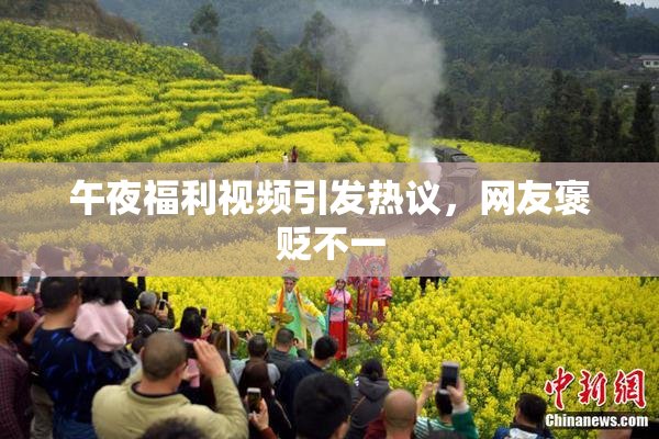 午夜福利视频引发热议，网友褒贬不一