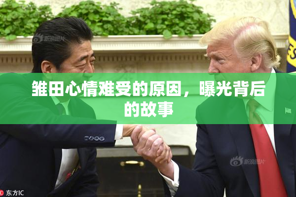 雏田心情难受的原因，曝光背后的故事