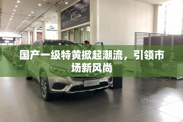 国产一级特黄掀起潮流，引领市场新风尚