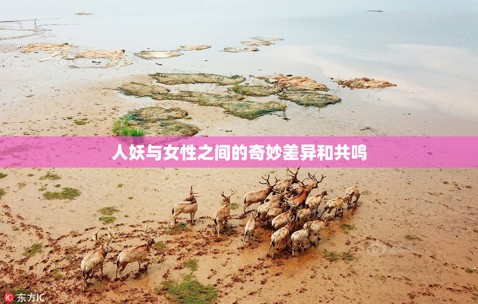 人妖与女性之间的奇妙差异和共鸣