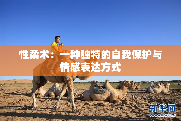 性柔术：一种独特的自我保护与情感表达方式