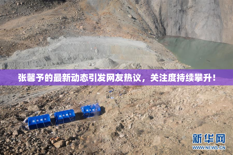 张馨予的最新动态引发网友热议，关注度持续攀升！