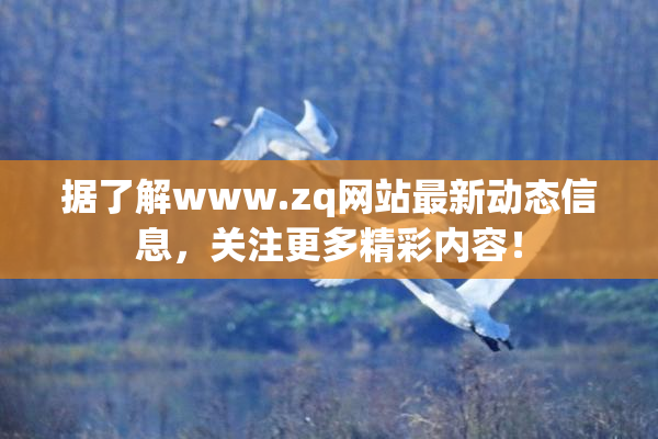 据了解www.zq网站最新动态信息，关注更多精彩内容！