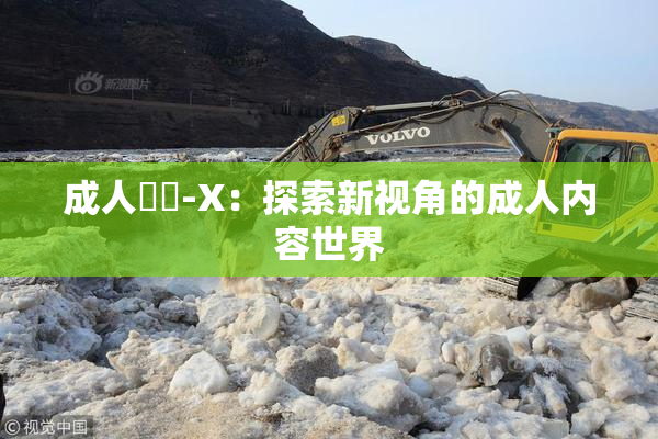 成人視頻-X：探索新视角的成人内容世界