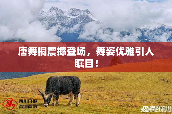 唐舞桐震撼登场，舞姿优雅引人瞩目！